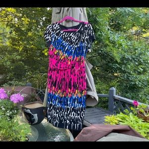 Classy and elegant Ellen Tracy dress in size 12.